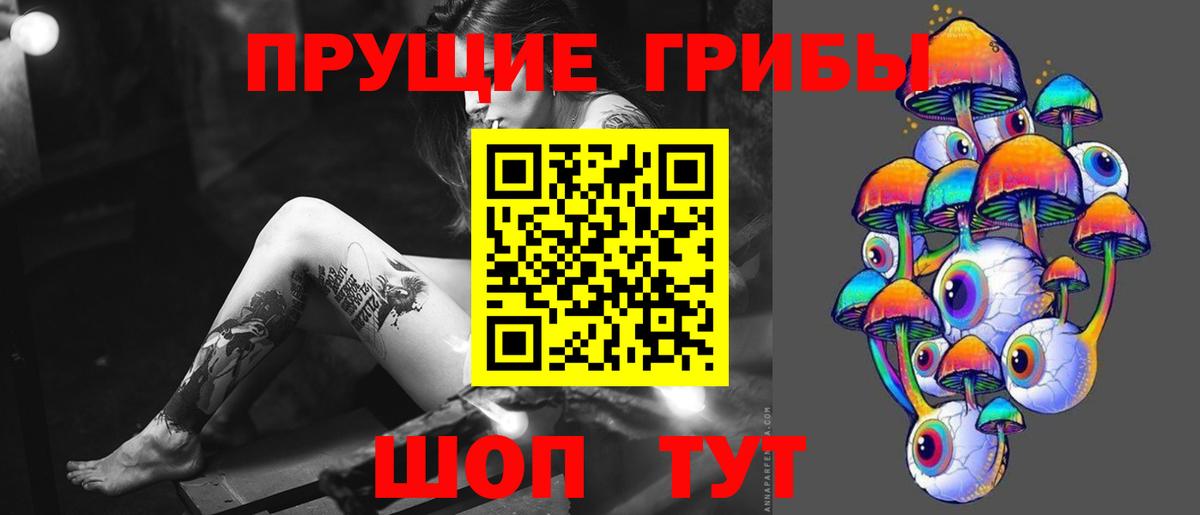 Галлюциногенные грибы Psilocybine cubensis  Вход с VPN  Янаул 